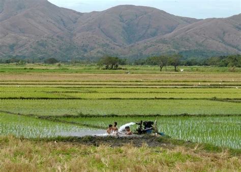 bulacan pampanga clocking|Follow cropping calendar, Bulacan, Pampanga farmers told.